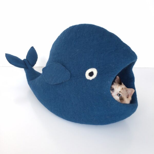 Chat dans la baleine