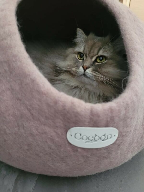 Cocon rose poudre chat 1