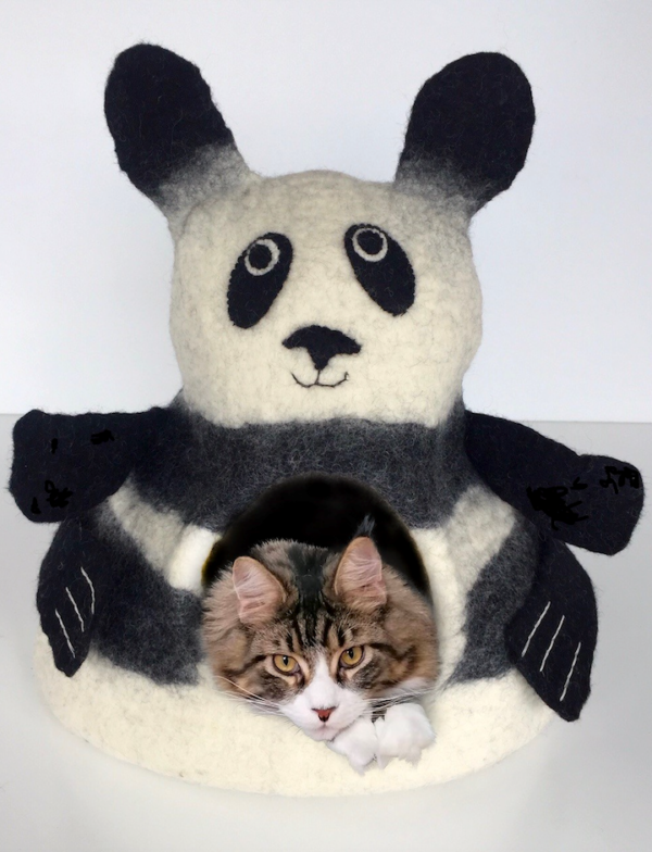 Cocoon Panda avec Main Coon