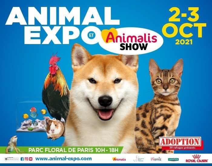 cocoon paris animal expo