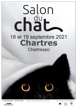 cocoon paris salon du chat